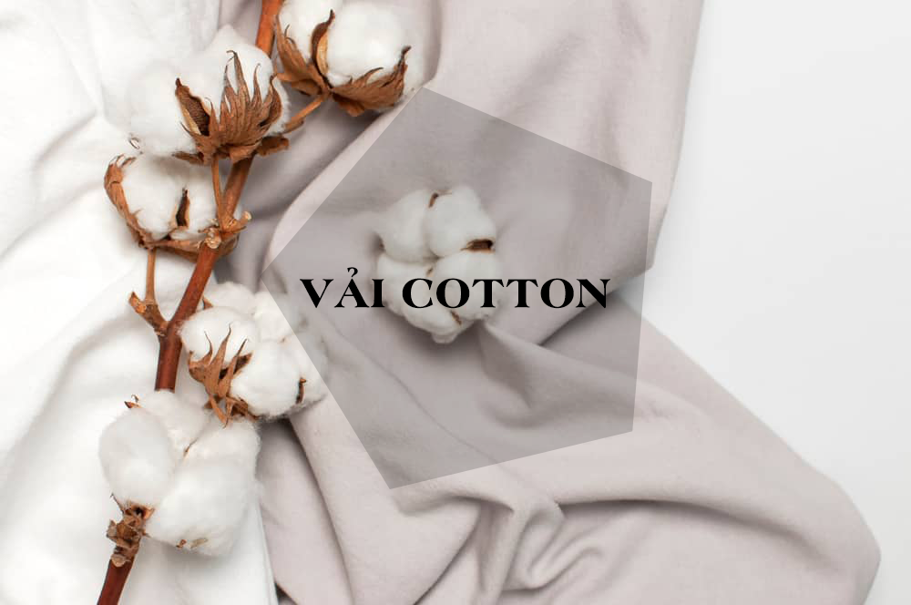 Tổng Hợp Các Kiến Thức Về Chất Liệu Vải Cotton